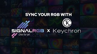 How to sync Keychron with SignalRGB [upl. by Amyas]