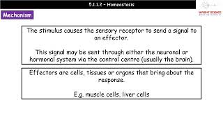 A Level Biology  5112  Homeostasis [upl. by Htilil]