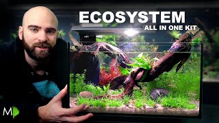 Ecosystem Aquarium In A Nano Kit Tank [upl. by Dikmen946]