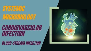 BLOOD STREAM INFECTION CARDIO VASCULAR INFECTION MICROBIOLOGYMedifyMBBS [upl. by Lulu77]