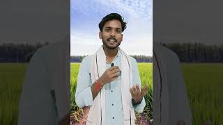 imidacloprid bihar agriculture anuplal farmer [upl. by Prentice]