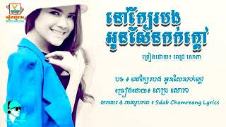 ពិរាេះណាស់quotនៅក្បែរបងអូនសែនកក់ក្តៅquotRHM vol 451 pich Sophea LYRICS VIDEO [upl. by Wallis]