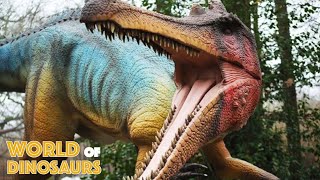 World of Dinosaurs FlyThrough At Paradise Wildlife Park [upl. by Capriola401]