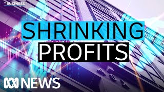 Predictions of shrinking profits as reporting season kicks off for Australias top listed companies [upl. by Atilrak]