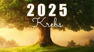 KREBS 2025🔮Große Jahresvorschau [upl. by Ayikur]