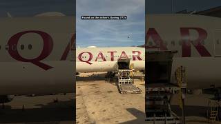 Is Qatar Airways Q Suite the best business class in the world shorts qatarairways qsuite [upl. by Anegroeg]