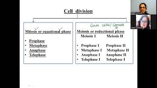 A Brief glimpse of Cell Cycle [upl. by Nicholson396]