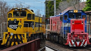 Aussie Long Hood Diesels Hauling Mainline Freight Trains [upl. by Annoval934]