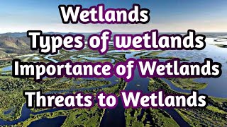 Wetlands  Types of Wetlands  Importance of Wetlands  Threats to wetlands [upl. by Nodgnal]