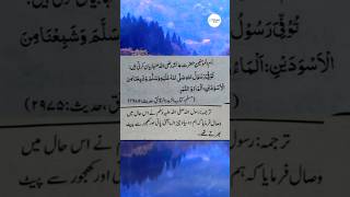 Hazrat Aayesha Siddiqah ؓ ka bayan hai prophetﷺ aayeshayoutubeshorts miladunnabi [upl. by Capp]