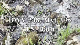 BWV 248 Mvt 35  JS Bach [upl. by Oemac]