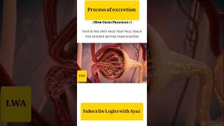 Process of excretion animation video physiology biology onlineclasses education viralshorts [upl. by Llenra]