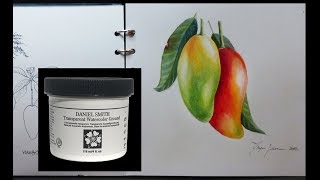 Fix Watercolor Paper with Daniel Smith Watercolor ground [upl. by Ranit]