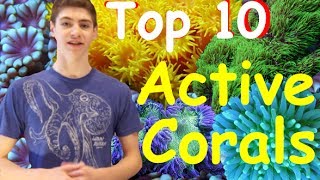 Top 10 Most Active Corals for Reef Tanks [upl. by Kushner169]