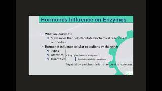 Endocrine Hormones amp Their Targets [upl. by Paolo]