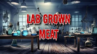 What is the MATTER with LAB GROWN MEAT [upl. by Ahseyd50]