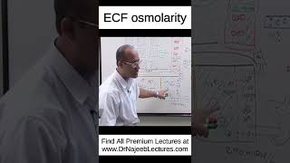 ECF osmolarity shortvideo shorts drnajeeb drnajeeblectures [upl. by Gemmell]