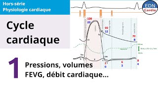 Potentiel d’action notions de cours [upl. by Kinom]