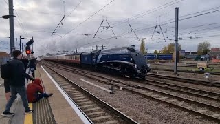 Steam Specials at Doncaster Station 16112024 [upl. by Hinch711]