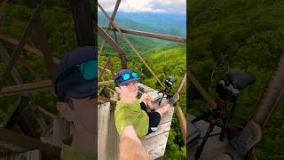 Hiking Appalachian Trail Great Smoky Mountains National Park northcarolina [upl. by Sup]