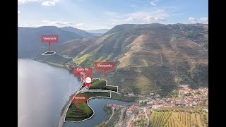 The phenomenal Quinta da Capela Douro Valley Portugal [upl. by Nylorac]