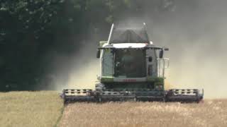 Die Erste Wintergerste ist Reif und Wird von Einen Claas Lexion 750 mit Geringhoff Harvest Star 7 2 [upl. by Yllehs]