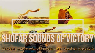 Incredible Sounds Of The Shofar The Sounds Of Victory  Authoritative TransformativeHeavenly call [upl. by Macnamara]