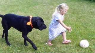 Child and Dog Play Ball [upl. by Alithea]