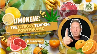 Limonene A Citrusy Terpene Powerhouse  Natures Brilliance in Every Aroma [upl. by Enitsua]