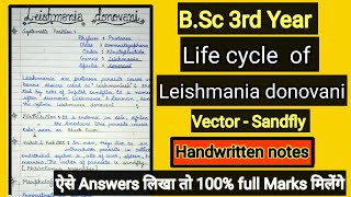 Lifecycle of Leishmania donovani BSc 3rd year zoology 1°amp 2° host  kalaazar  handwritten notes [upl. by Rebmat897]