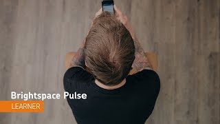 Brightspace Pulse  Navigation  Learner [upl. by Odnamra]