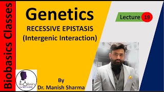 Recessive Epistasis Intergenic Interaction GENETICS [upl. by Assilac]