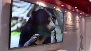 UltraHD  Highlights 2014 CES [upl. by Esaertal183]