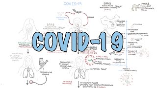 COVID19 a visual summary of the new coronavirus pandemic [upl. by Nylissej940]