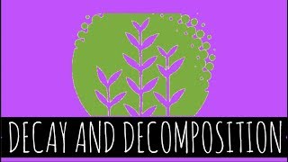 Decay and Decomposition  How Does Decay and Decomposition Work  GCSE Biology [upl. by Acyssej]