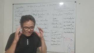 Tempos primitivos  Conjugação verbo vender  presente do indicativo e do subjuntivo  imperativo [upl. by Kannry751]