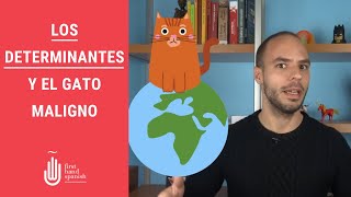 Los determinantes y el gato maligno [upl. by Renba]