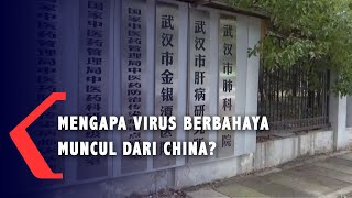 Mengapa Sejumlah Virus Berbahaya Muncul dari China Termasuk Virus Corona [upl. by Alraep309]