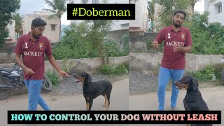 How to control your Dog without Leash   TAMIL  RAGUL RAM [upl. by Birch146]