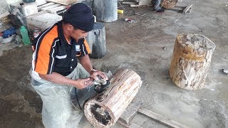 How to Cut and Polish Petrified Wood [upl. by Esiole]