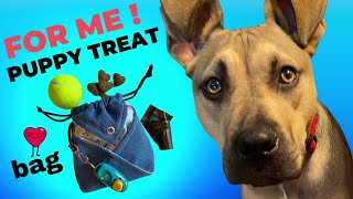 Easy DIY Puppy Treat Training Bag Beginner Friendly Two Pieces of Fabric [upl. by Nylahsoj559]