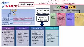 3 RM19 FARMACOLOG A ONCOLOG A CORTICOIDES Y ANTICUERPOS [upl. by Ymarej]