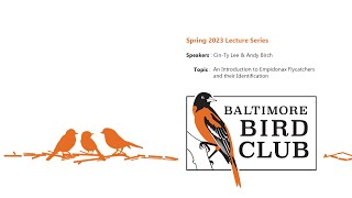 Baltimore Bird Club An Introduction to Identifying Empidonax Flycatchers by CinTy Lee amp Andy Birch [upl. by Niatsirhc]