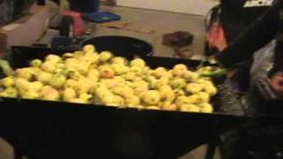 Making apple cider from fresh apples [upl. by Garzon]