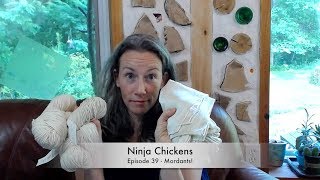 Ninja Chickens  All about Mordants and Natural Dyeing Episode 39 Knitting Podcast [upl. by Legin]