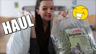 Spontaner MEERSCHWEINCHENHAUL [upl. by Oikim]