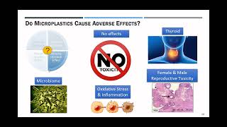 Session 3 Impact of Microplastics on Human Health [upl. by Yrtua]