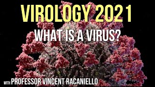 Virology Lectures 2021 1 What is a Virus [upl. by Cyrilla]