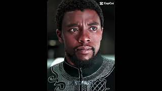 RIP black panther ❤️🕊️ fypシ゚ chadwickboseman viralshorts [upl. by Troy707]