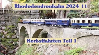 Rhododendronbahn 202411  Herbstfahrten Teil 1  RhBGartenbahn [upl. by Pepita670]